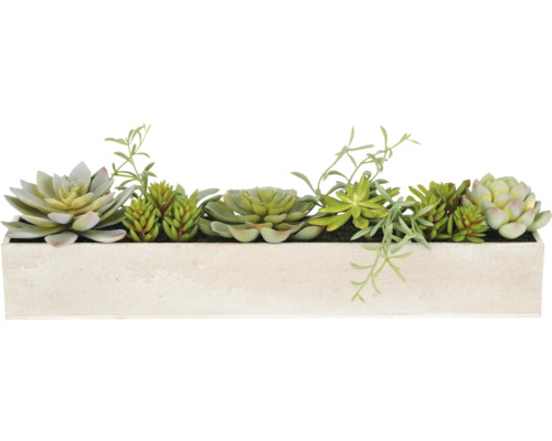 Decoratieve vetplanten in een rechthoekige plantenbak voor binnen