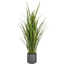 Kunstmatige groene plant in pot