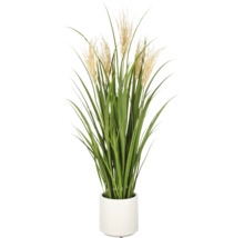 Kunst siergras in witte pot