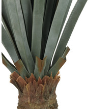 Close-up van een kunstmatige yucca-palm met rechte bladeren en stam.