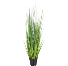 Kunst siergras in een pot