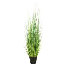 Kunstgras in pot