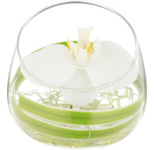 Decoratieve orchidee in een glazen vaas met water en decoratie