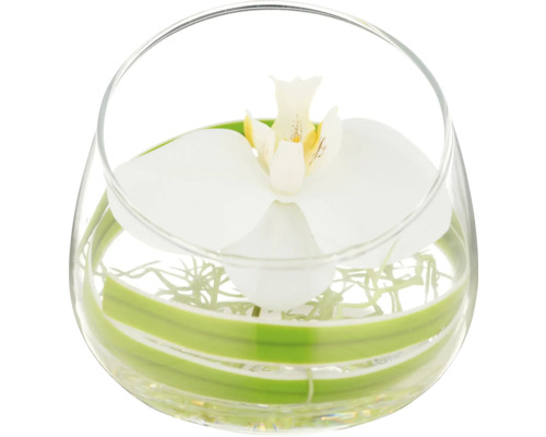 Decoratieve orchidee in een glazen vaas met water en decoratie
