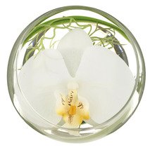 Decoratieve witte orchidee in een glazen pot