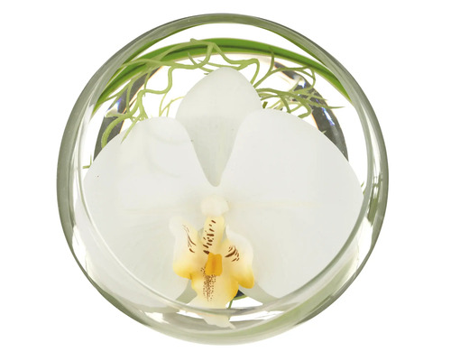 Decoratieve witte orchidee in een glazen pot