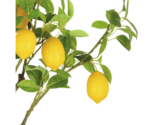 Kunstmatige citroentak met bladeren en gele vruchten