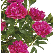 Decoratieve kunstbloem met roze bloemen en groene bladeren.