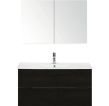 Wastafelcombinatie met spiegelkast en wastafel