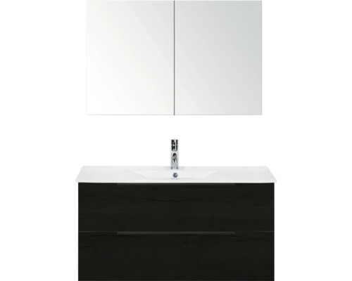 Wastafelcombinatie met spiegelkast en wastafel