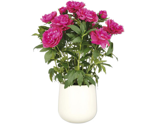 Kunstplant pioenroos in pot