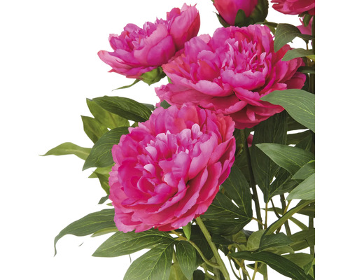 Kunstpioenrozen met groene bladeren