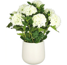 Kunstmatige witte hortensia''s in pot ter decoratie