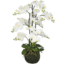 Kunstmatige witte orchidee in pot als decoratie