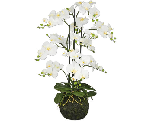 Kunstmatige witte orchidee in pot als decoratie