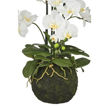 Kunstorchidee met witte bloemen en groene bladeren in een mosbedekte pot.