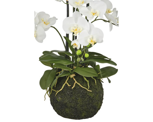 Kunstorchidee met witte bloemen en groene bladeren in een mosbedekte pot.