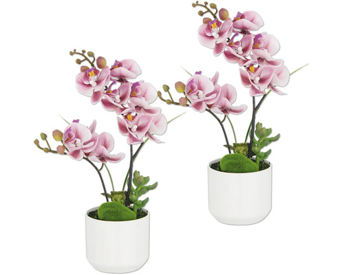 Twee decoratieve orchideeën in potten