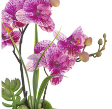 Kunstorchidee met paarse bloemen en groene bladeren als decoratie voor binnenshuis