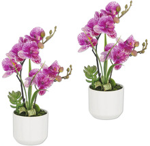 Twee kunstmatige orchideeën met stippelbloemen in witte potten