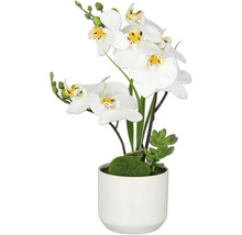 Kunstmatige witte orchidee met bloempot