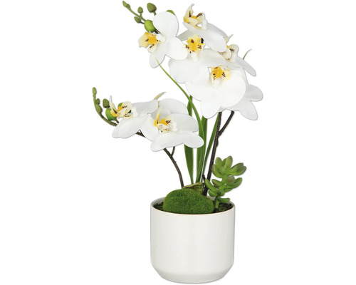 Kunstmatige witte orchidee met bloempot