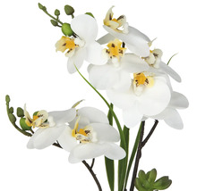 Kunstorchidee met witte bloemen