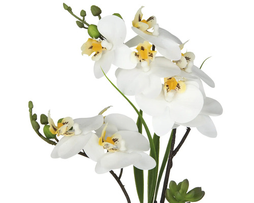Kunstorchidee met witte bloemen