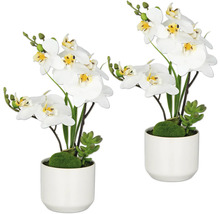 Twee witte orchideeën in keramische potten als decoratief element