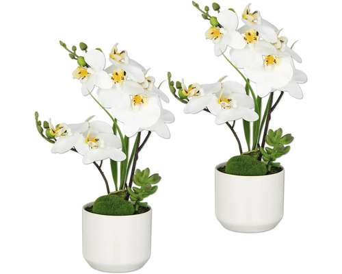 Twee witte orchideeën in keramische potten als decoratief element