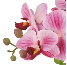 Kunstorchidee met bloemen en knoppen