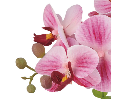 Kunstorchidee met bloemen en knoppen