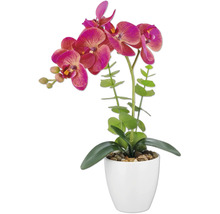 Kunstorchidee in witte pot