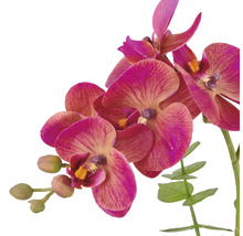 Kunstmatige orchidee met bloemen en knoppen