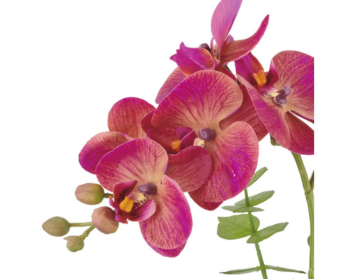 Kunstmatige orchidee met bloemen en knoppen