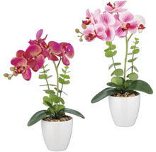 Twee kunstmatige orchideeën in potten