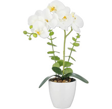 Kunstmatige witte orchidee in pot als decoratie