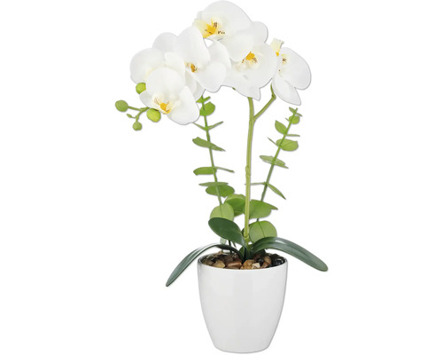 Kunstmatige witte orchidee in pot als decoratie