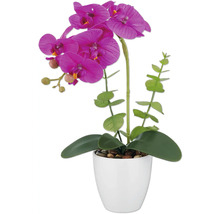 Kunstorchidee met paarse bloemen in pot