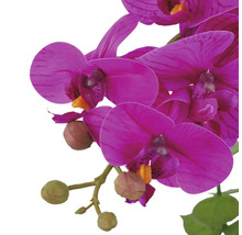 Kunstmatige orchidee met bloemen en knoppen