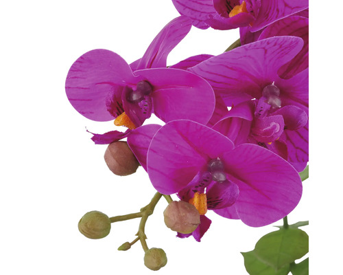 Kunstmatige orchidee met bloemen en knoppen