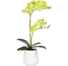 Kunstorchidee in witte pot