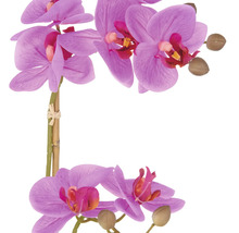 Kunstmatige paarse orchidee met bloemen en knoppen.