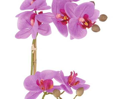 Kunstmatige paarse orchidee met bloemen en knoppen.