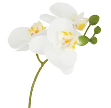 Kunstorchidee met bloemen en knoppen