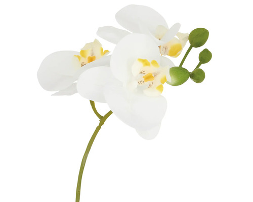 Kunstorchidee met bloemen en knoppen