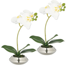 Twee witte orchideeën in zilverkleurige potten