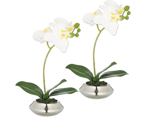 Twee witte orchideeën in zilverkleurige potten