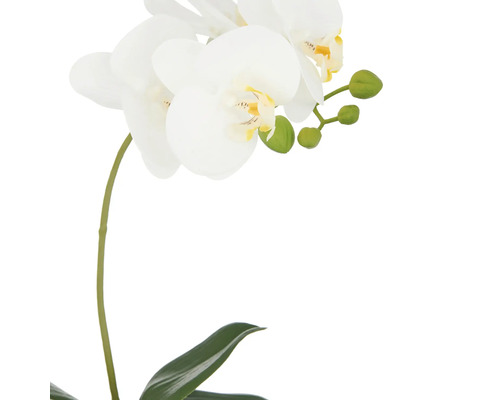 Kunstmatige witte orchidee met bladeren en bloemknoppen