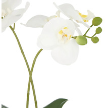 Kunstorchidee met witte bloemen